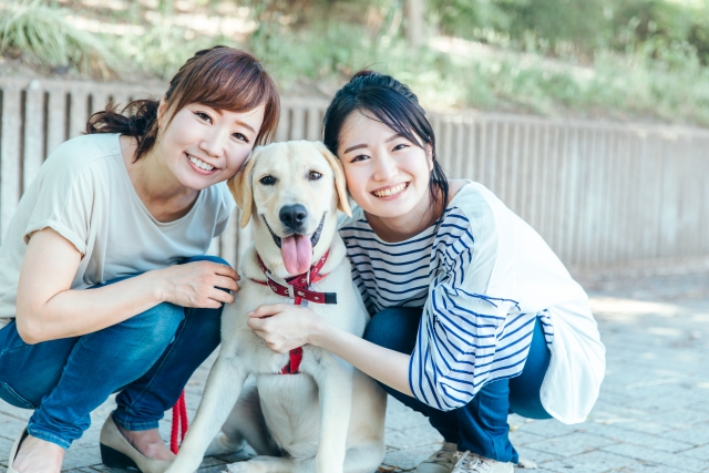 親子と犬